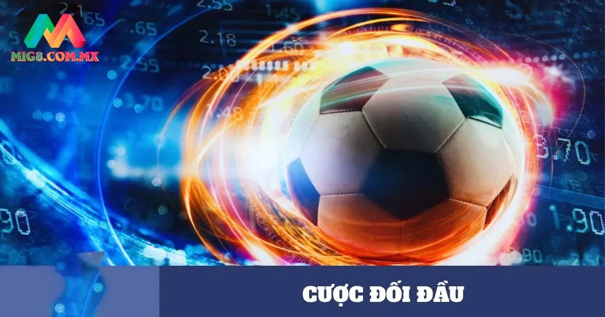 Giải thích “cược đối đầu là gì”