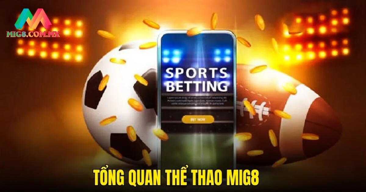 Tổng quan về sảnh thể thao MIG8