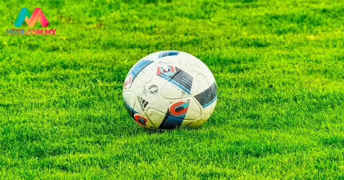 Cách đọc kèo chấp ½