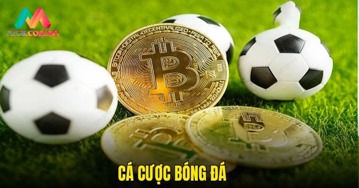 Danh sách các bộ môn đình đám tại thể thao MIG8